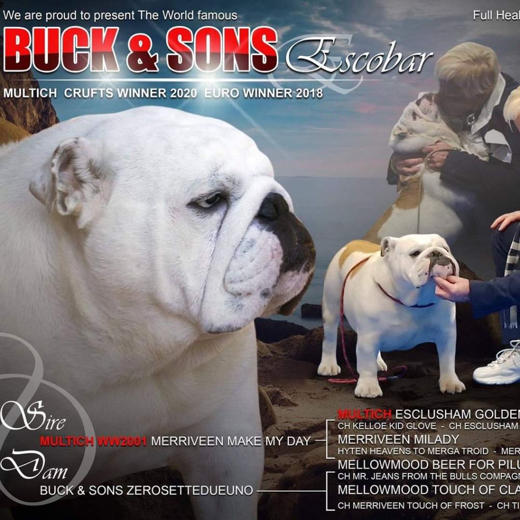 buck and sons Marylin mason dit koby junior