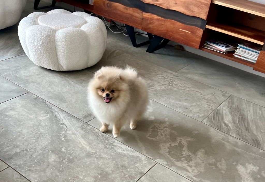 nevskiy olimp Mademoiselle madlen